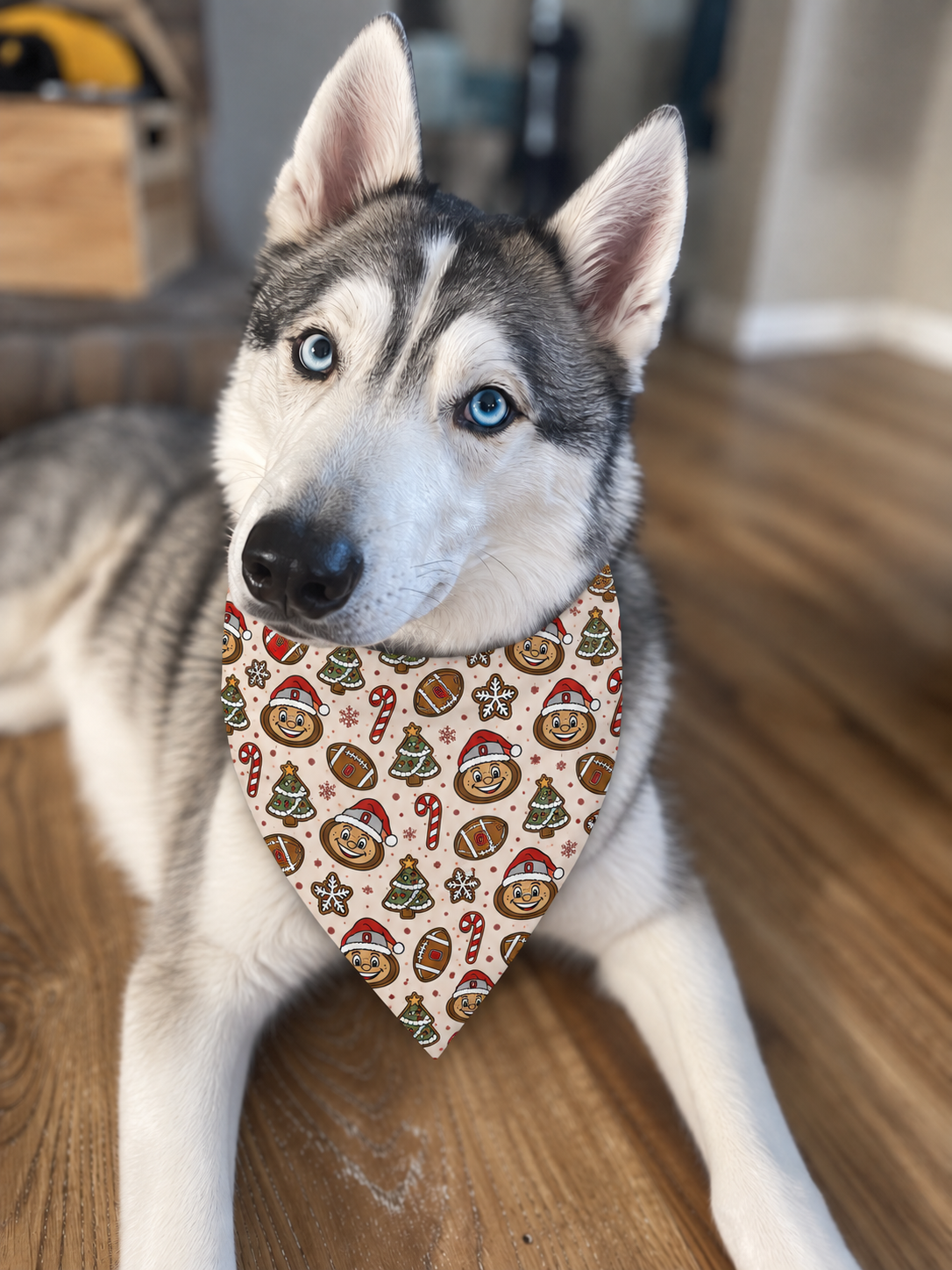 Cookie Game Day Dog Bandana