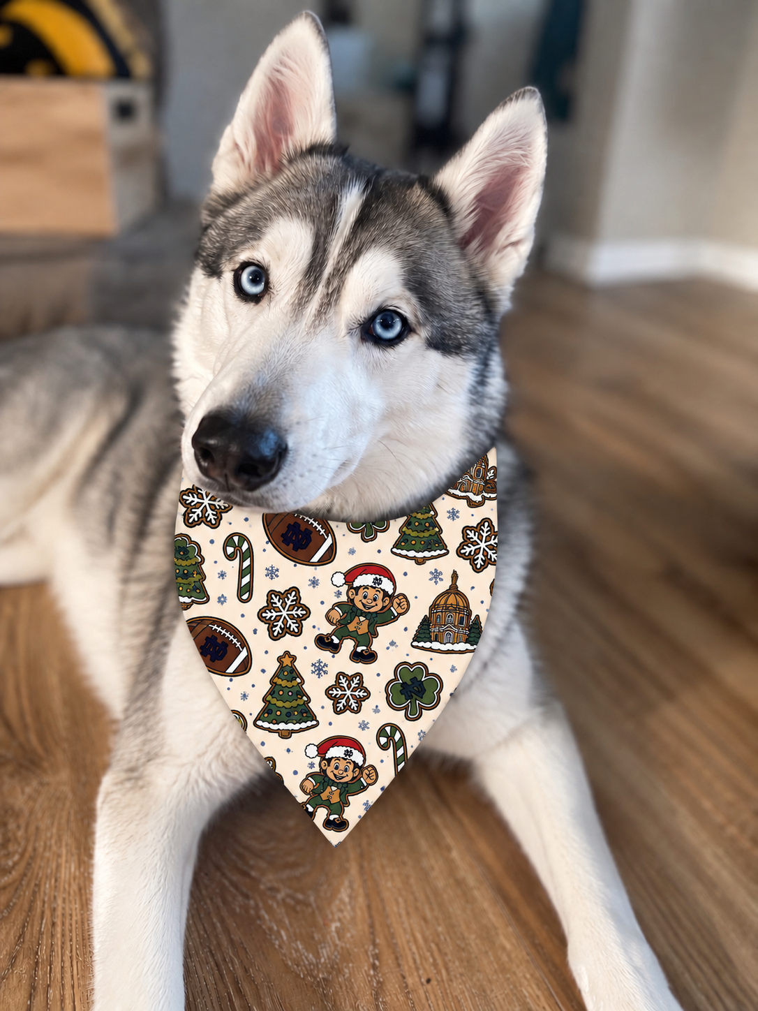 Champion Cookie Crew Dog Bandana